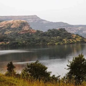 Usefull Contact Numbers Of Maval